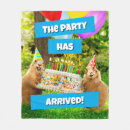 Search for birthday party blankets Avanti press