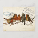 Search for european robin bird postcards Nature