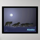 Search for winter wolves posters Snow