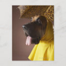 Search for surprise postcards Vertical