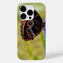 Search for morpho iphone cases Blue morpho butterfly