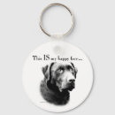 Search for lab key rings Retriever
