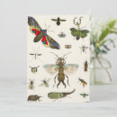 Search for insect invitations Butterfly