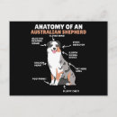 Search for aussie shepherd postcards Puppy