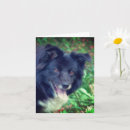 Search for cute dog note cards Animal