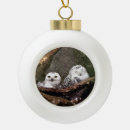Search for snowy owl christmas tree decorations White