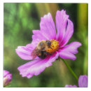 Search for bumble bee tiles Nature