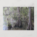 Search for bayou postcards Cypress
