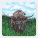 Search for highlands stickers Scotland