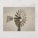 Search for blank antique vintage postcards Brown