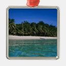 Search for rafting christmas tree decorations Nature
