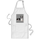 Search for boston aprons Puppy