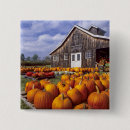 Search for autumn foliage badges Harvest