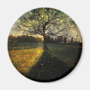 Search for magic trees magnets Nature