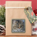 Search for feral cats stickers Animal