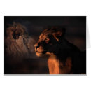 Search for savana postcards African