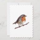 Search for robin bird invitations Redbreast