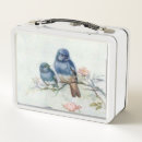 Search for vintage lunch boxes Teacher
