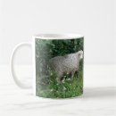Search for woolly sheep mugs Fluffy