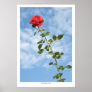 Search for singles posters Romance