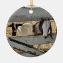 Search for goat christmas decor Kid