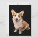 Search for smiling puppy cards Pet