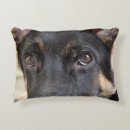 Search for german shepherd decor Portrait