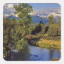Search for environment gift wrap Montana