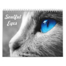 Search for eyes office supplies Kitten