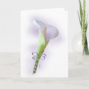 Search for purple calla lilies cards Lily