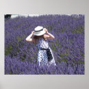 Search for lavendar posters Purple