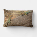 Search for lizard cushions Nature
