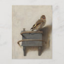 Search for fabritius postcards 17th century