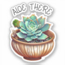 Search for air plant stickers Watercolor