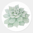 Search for succulent bridal shower stickers Flowers