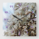 Search for magnolia clocks Tree
