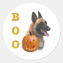Search for berger stickers Dog