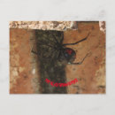 Search for widows postcards Spider
