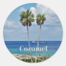Search for cozumel stickers Palm trees