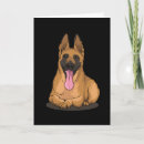 Search for belgian shepherds cards Dog