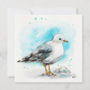 Search for study cards Bird