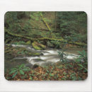 Search for environment mousepads Forest