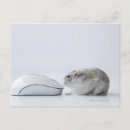 Search for computer mouse postcards Animal