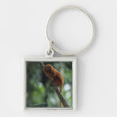 Search for long tail key rings Animals in the wild