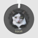 Search for plastic pet supplies Face