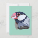 Search for sparrow postcards Finch