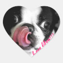 Search for boston terrier funny stickers Cute