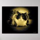 Search for house mouse art Cat