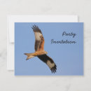 Search for bird of prey invitations Nature