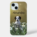 Search for dalmatian iphone cases Dog